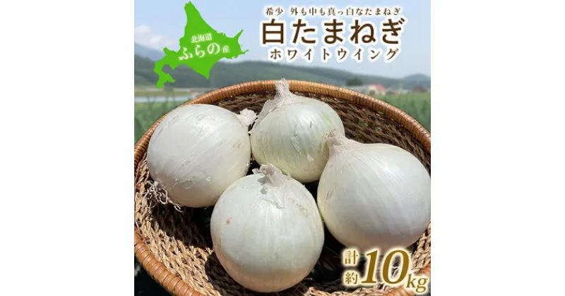 【ふるさと納税】【先行予約】10月より順次発送【北海道ふらの産】 白玉ねぎ約10kg【1258411】