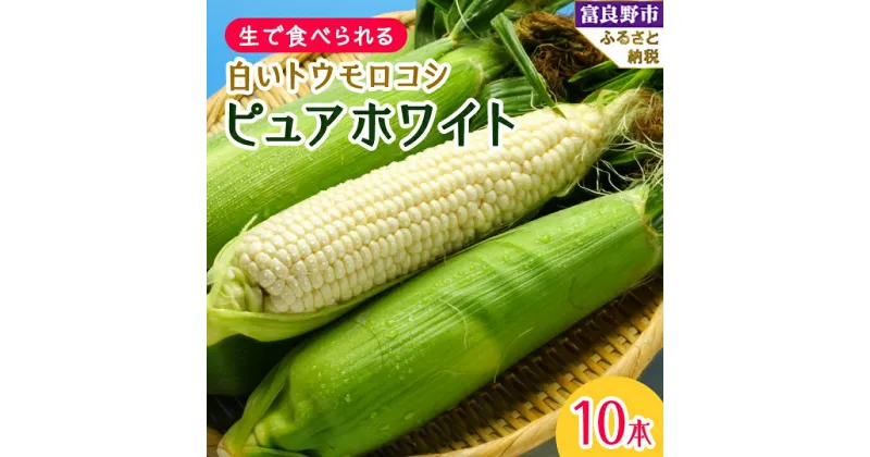 【ふるさと納税】【2025年発送】北海道富良野産生で食べられる 白いトウモロコシ　ピュアホワイト10本入り_ とうもろこし トウモロコシ とうきび 野菜 人気 美味しい 北海道 富良野 富良野市 ふるさと 【配送不可地域：離島】【1275562】