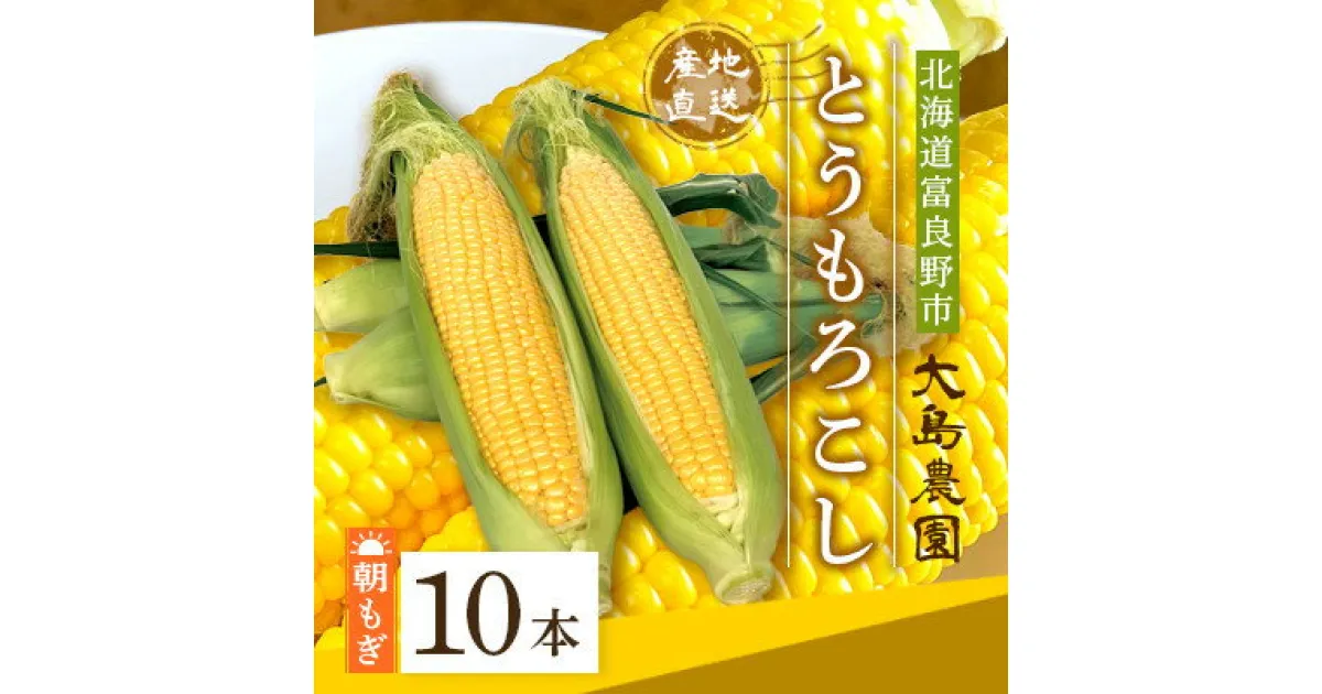 【ふるさと納税】朝もぎとうもろこし　10本　北海道富良野市『大島農園』【配送不可地域：離島】【1261687】