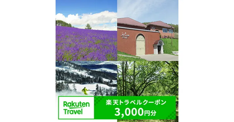 【ふるさと納税】北海道富良野市の対象施設で使える楽天トラベルクーポン寄付額10,000円