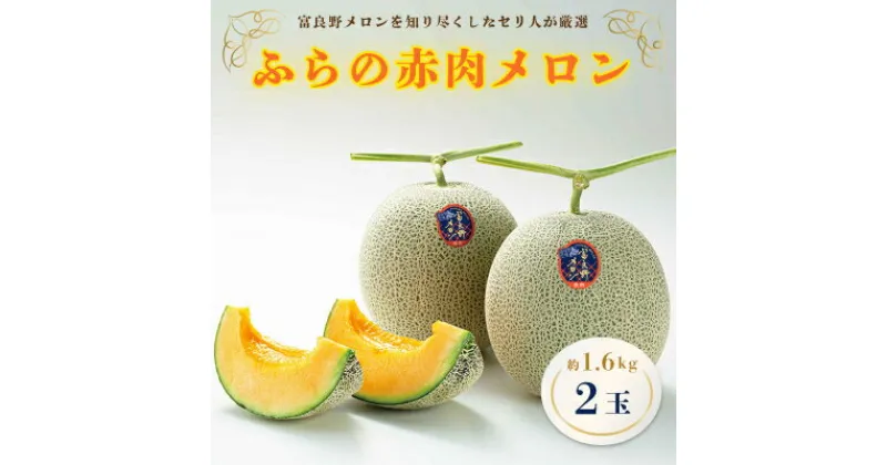 【ふるさと納税】【2025年発送】ふらの赤肉メロン　1.6kg×2玉【配送不可地域：離島】【1296171】