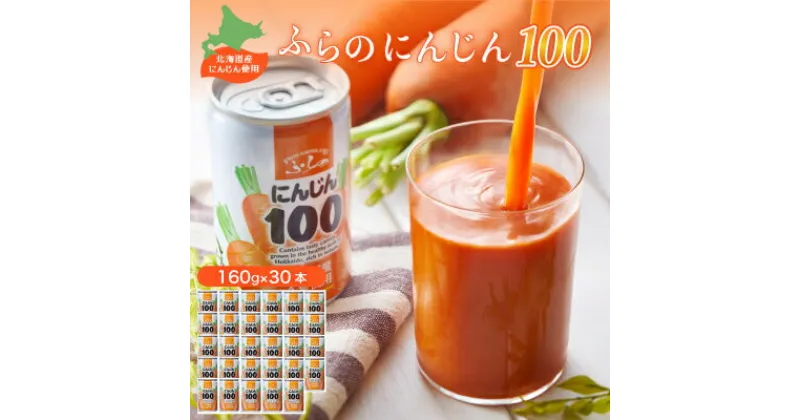 【ふるさと納税】【北海道産にんじん使用】ふらの にんじん100 160g×30本入_ ニンジンジュース 人参 にんじん ジュース 飲料 ドリンク ストレート にんじん100 野菜ジュース 北海道 富良野 国産 贈答 ギフト 野菜 人気 おすすめ 美味しい 安心 北海道産人参 【1295396】