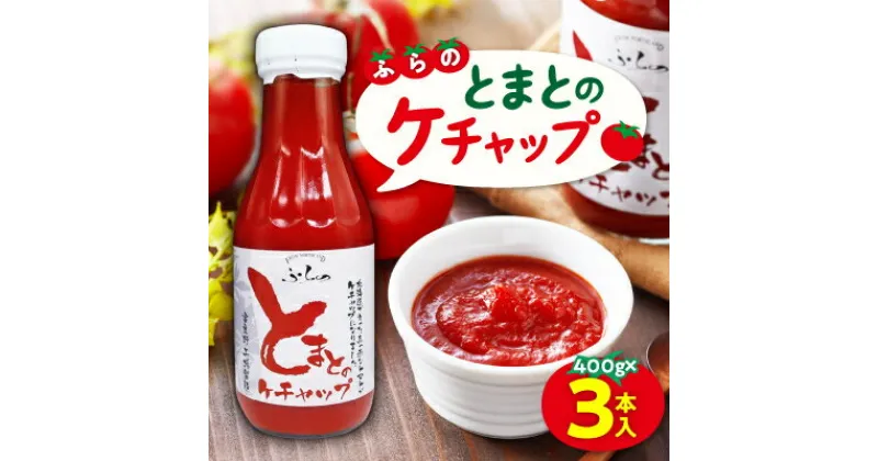 【ふるさと納税】【北海道産トマト使用】ふらの とまとのケチャップ 400g×3本入_ ケチャップ トマトケチャップ 北海道 富良野 北海道産トマト 国産 調味料 粗ごし 完熟トマト 便利 人気 おすすめ 贈答 ギフト 送料無料 セット 3本 ご当地 パスタソース ふらの 【1325670】