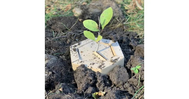 【ふるさと納税】【あなたの木を富良野に植えます】富良野の自然を守る植樹代行券(苗木1本)【1371503】