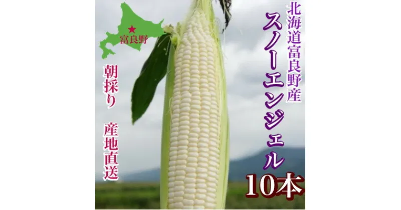 【ふるさと納税】【2025年出荷】「スノーエンジェル」北海道富良野産ハウス栽培L～2L/10本入_ とうもろこし コーン トウモロコシ 野菜 ホワイトコーン 朝採れ 人気 産地直送 甘い 送料無料 希少 限定 人気 おすすめ 北海道 富良野 【配送不可地域：離島】【1405480】