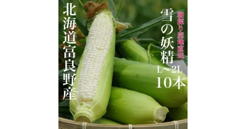 【ふるさと納税】【2025年出荷】朝採りホワイトコーン北海道富良野産ハウス栽培秀品「雪の妖精」L～2L10本入_ とうもろこし コーン トウモロコシ 野菜 ホワイトコーン 朝採れ 人気 産地直送 甘い 送料無料 希少 限定 人気 おすすめ 北海道 【配送不可地域：離島】【1405482】