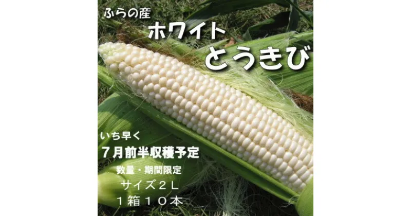 【ふるさと納税】【2025年発送先行予約】【数量・期間】ふらの産　ホワイトとうきび10本　サイズ2L【配送不可地域：離島】【1470193】