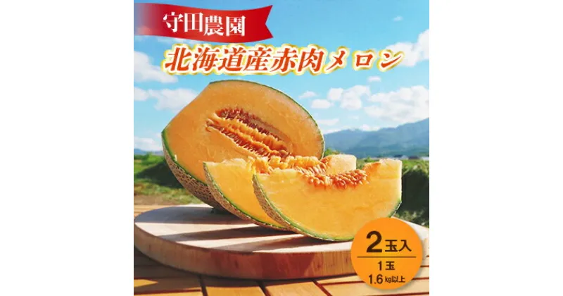 【ふるさと納税】【2025年発送】北海道富良野産赤肉メロン 1.6kg以上×2玉【1471806】