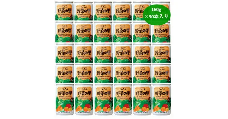 【ふるさと納税】【毎月定期便】【国産野菜使用】ふらの　野菜の里　160g×30本入り 全3回_ 定期便 野菜ジュース ジュース 飲料 ドリンク 野菜 国産 産直 北海道 富良野 野菜の里 缶 贈答 ギフト 詰合せ 30本 人気 おすすめ 国産野菜 安心 果汁ミックス 【4007271】