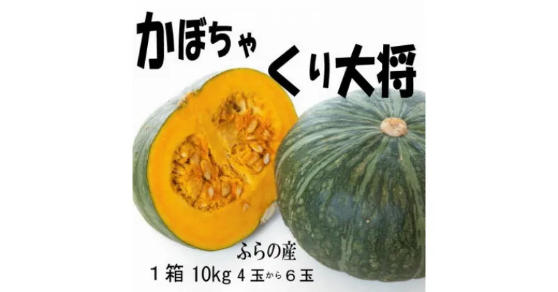 【ふるさと納税】【2025年発送先行予約】【数量・期間】ふらの産　かぼちゃ　1箱10kg(くり大将)【1473419】