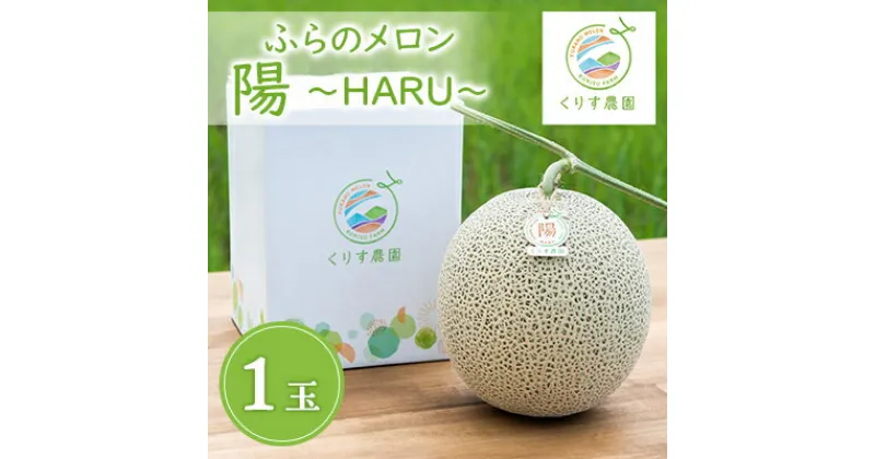 【ふるさと納税】【先行予約】ふらのメロン「陽 ～HARU～」大玉(2.3kg以上)×1玉　(赤肉)　富良野メロン_ メロン めろん 富良野メロン 赤肉 フルーツ くだもの 果物 ふるーつ 青果 北海道 富良野 産直 産地直送 甘い 高糖度 贈答 ギフト 常温 季節限定 人気 【1478649】