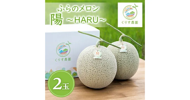 【ふるさと納税】【先行予約】ふらのメロン「陽 ～HARU～」大玉(2.3kg以上)×2玉　(赤肉)　富良野メロン_ メロン めろん 富良野メロン 赤肉 フルーツ くだもの 果物 ふるーつ 青果 北海道 富良野 産直 産地直送 甘い 高糖度 贈答 ギフト 常温 季節限定 人気 【1478650】