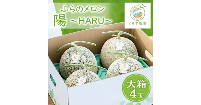 【ふるさと納税】【先行予約】ふらのメロン「陽 ～HARU～」大箱 8kg以上(大玉×4玉)(赤肉)　富良野メロン【1478651】