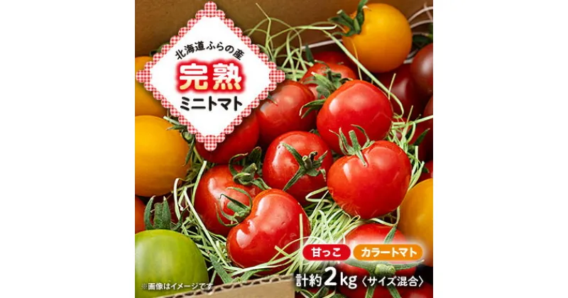 【ふるさと納税】【2025年発送】北海道ふらの産　完熟ミニトマト〈甘っこ・カラートマト〉約2kg サイズ混合【配送不可地域：離島】【1505752】