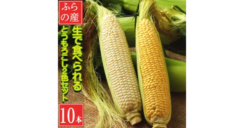 【ふるさと納税】【先行予約2025年発送】北海道富良野産生で食べられる 白いトウモロコシと黄色いトウモロコシ10本【配送不可地域：離島】【1538399】