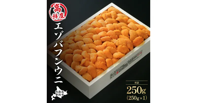 【ふるさと納税】特選 エゾバフンウニ 折詰 250g ウニ丼約3杯分 | ふるさと納税 うに 高級 ウニ 雲丹 生ウニ エゾバフンウニ 折り詰め 北海道 登別 ふるさと 人気 送料無料