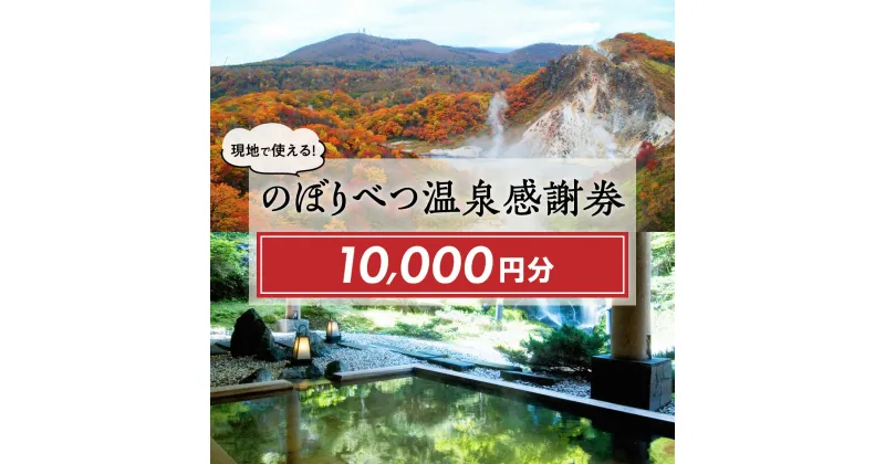 【ふるさと納税】のぼりべつ 温泉感謝券 寄附額 40,000円 クーポン 10,000円分 | ふるさと納税 宿泊券 温泉利用券 のぼりべつ 温泉感謝券 旅行 温泉 チケット クーポン 北海道 登別 ふるさと 人気 送料無料