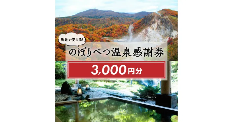 【ふるさと納税】のぼりべつ 温泉感謝券 寄附額 12,000円 クーポン 3,000円分 | ふるさと納税 宿泊券 温泉利用券 のぼりべつ 温泉感謝券 旅行 温泉 チケット クーポン北海道 登別 ふるさと 人気 送料無料