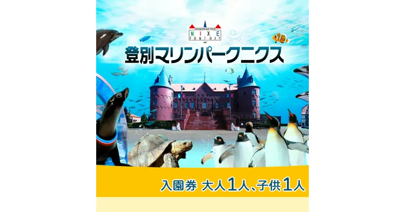 【ふるさと納税】登別マリンパークニクス 入園券　大人・子供　各1名　【 チケット 北海道 観光 旅行 日帰り 子連れ 北海道 水族館 動物園 イルカ アシカ パフォーマンス ペンギン パレード 銀河水槽 金魚万華鏡 】