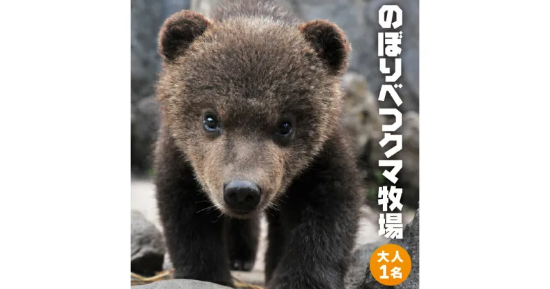 【ふるさと納税】のぼりべつクマ牧場入場券 大人（中学生以上）1名様【チケット 北海道 観光 旅行 日帰り 子連れ 家族連れ テーマパーク 動物園 牧場 博物館 展望台 カフェ ロープウェイ クマ ヒグマ アヒル リス ヒトのオリ】