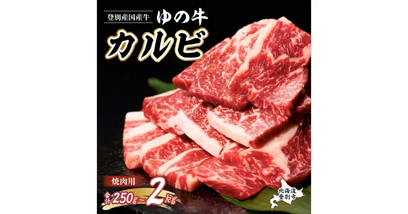 【ふるさと納税】量が選べる！牛肉 北海道 焼肉 登別産 国産 カルビ スライス 250g〜2kg 焼き肉 | ふるさと納税 牛肉 焼肉 カルビ 焼き肉 バーベキュー BBQ すき焼き しゃぶしゃぶ すきやき 牛 肉 高級 ギフト 北海道 登別 ふるさと 人気 ランキング 送料無料