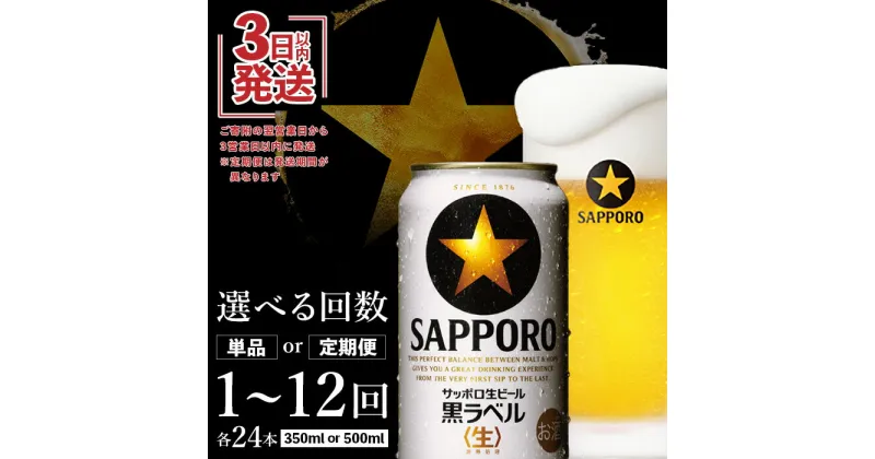 【ふるさと納税】【期間限定】黒ラベル 350ml×24本 サッポロビール サッポロ ビール 黒ラベル 350ml 500ml 350 500 24本 定期便 2～12回 生ビール 北海道 ふるさと納税 恵庭市 恵庭