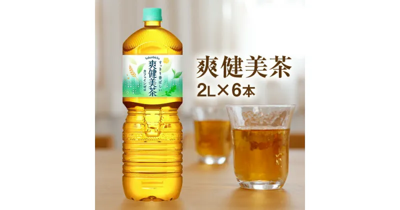 【ふるさと納税】爽健美茶 2000mlPET×6本 2L 2L 恵庭市 恵庭 ふるさと納税 8000円 8,000円 北海道 コカ・コーラ 爽健美茶 お茶 ノンカフェイン カフェインゼロ【380007】