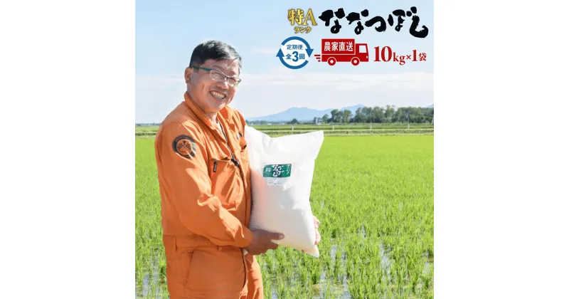 【ふるさと納税】令和6年度産『定期便：全3回』たつや自慢の米 ななつぼし10kg【35000401】