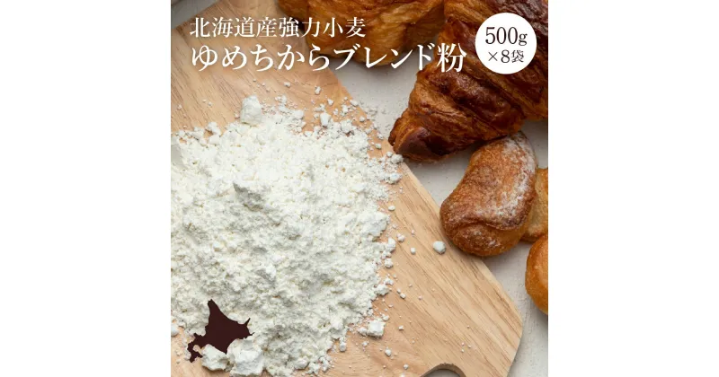 【ふるさと納税】【北海道産小麦】 ゆめちから ブレンド粉 500g × 8袋 強力粉 パンやピザに 国産 北海道産 小麦粉 ホームベーカリー 北海道 ふるさと納税 恵庭市 恵庭 【290003】