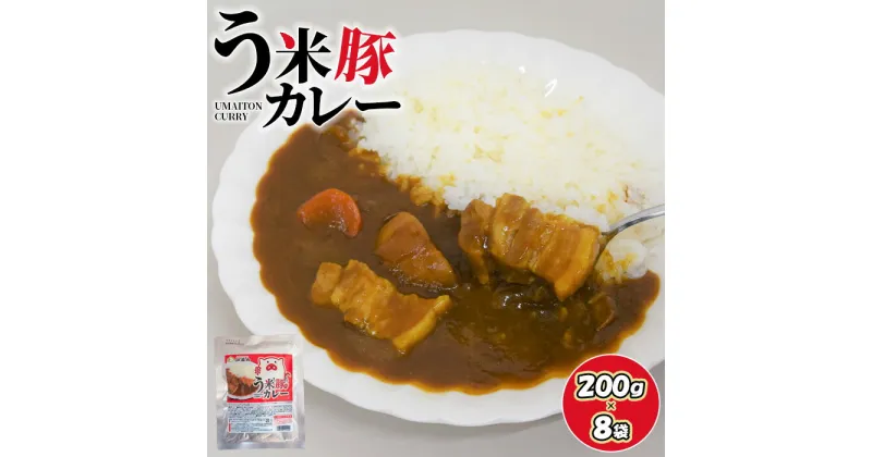 【ふるさと納税】う米豚カレー 200g×8袋 レトルトカレー カレー う米豚 8人前 保存食 防災 北海道産 ブランド豚 北海道 ふるさと納税 恵庭市 恵庭 【290019】