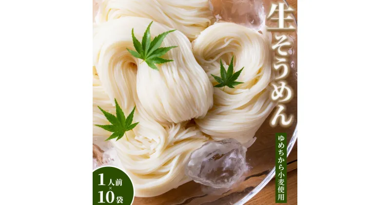 【ふるさと納税】【ゆめちから小麦使用】 生そうめん （1人前×10袋） 生そうめん そうめん 10人前 ゆめちから 国内製造 小麦粉 9000円 9,000円 北海道 ふるさと納税 恵庭市 恵庭 【290005】