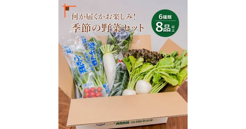 【ふるさと納税】季節の野菜おたのしみセット 北海道産 季節の野菜 セット 詰め合わせ 11000円 11,000円 6種類 8品 お楽しみ 取り寄せ 余湖農園 新鮮 北海道 ふるさと納税 恵庭市 恵庭 【310005】