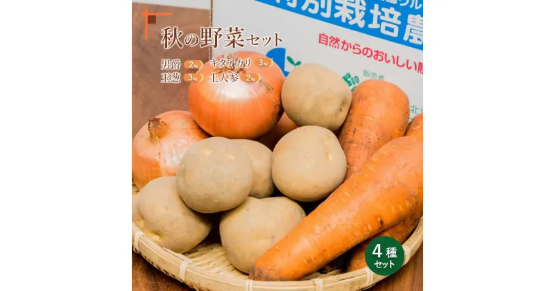 【ふるさと納税】秋の野菜4品セット 北海道 じゃがいも たまねぎ にんじん 恵庭市 ふるさと納税 北海道ふるさと納税【31000601】