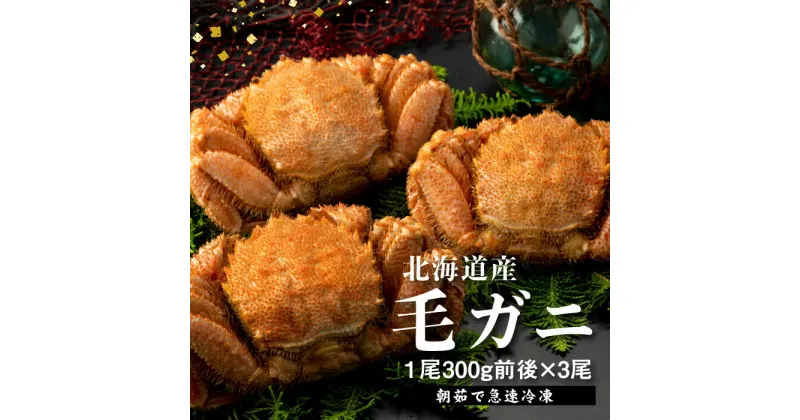 【ふるさと納税】【北海道産】『冷凍』毛ガニ300g前後×3杯【急速冷凍】【52001401】