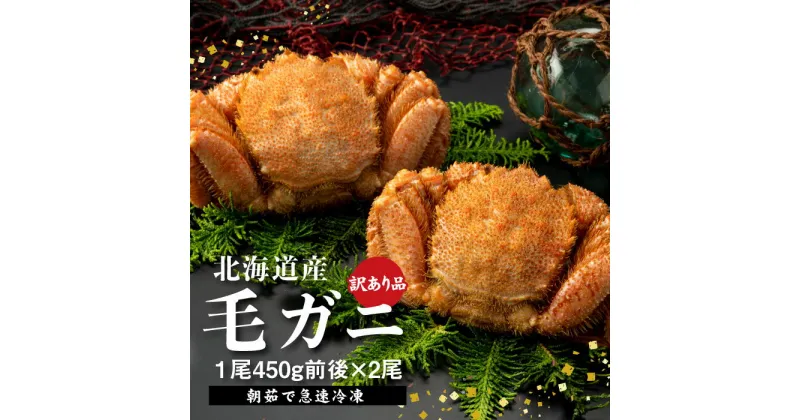 【ふるさと納税】【訳あり品】 【北海道産】 『冷凍』毛ガニ450g前後×2杯 冷凍 北海道産 訳アリ 食品ロス 毛蟹 毛がに 毛ガニ かに 北海道 恵庭市 ふるさと納税 恵庭 蟹 カニ 魚介類 魚貝類 【520004】