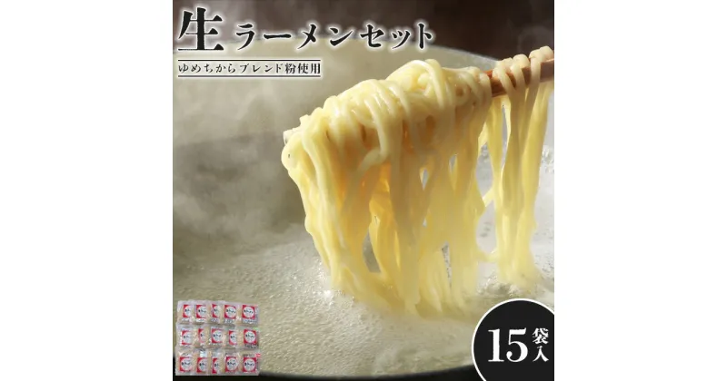 【ふるさと納税】【ゆめちからブレンド粉使用】 生ラーメンセット(15袋) 生ラーメン ラーメン 15人前 スープ付 北海道産 小麦粉 醤油 塩 味噌 スープ付き ふるさと納税 北海道 恵庭市 恵庭 【290009】