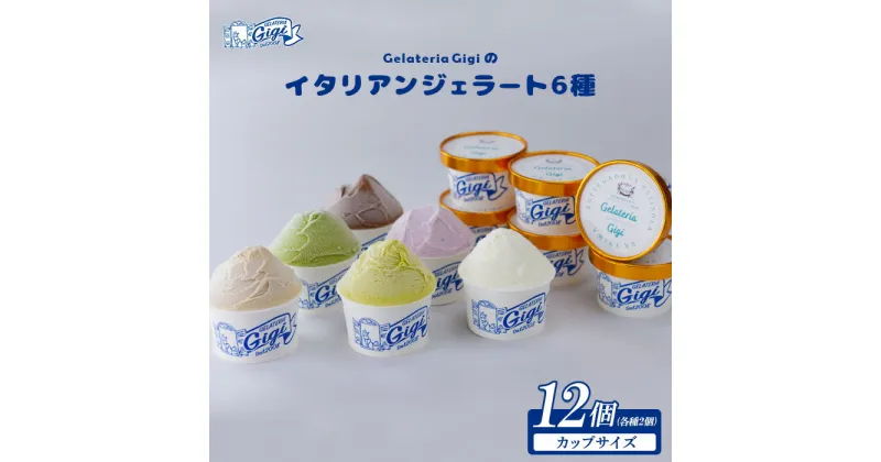 【ふるさと納税】ジェラテリアGigiのイタリアンジェラート6種(スタジョーネ) 牛乳 ピスタチオ チョコレート ブルーベリーヨーグルト Gigiが選ぶおまかせジェラート 12個 アイス ジェラート 北海道 恵庭市 ふるさと納税【430016】