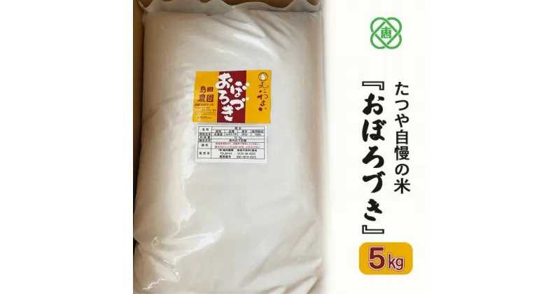 【ふるさと納税】令和6年度産【北海道産】たつや自慢の米『おぼろづき』 米 お米 おぼろづき 島田農園 5kg ふるさと納税 北海道 恵庭市 恵庭【35001501】