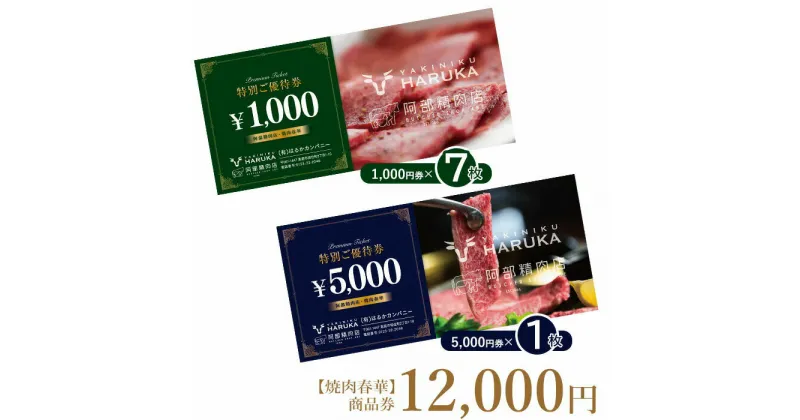 【ふるさと納税】【焼肉春華】商品券12,000円【16027】