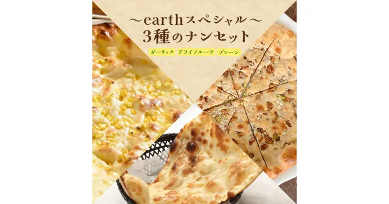 【ふるさと納税】earthスペシャル3種のナンセット ナン セット 食べ比べ 国産小麦 北海道小麦 プレーンナン ガーリックナン ドライフルーツナン プレーン ガーリック ドライフルーツ 冷凍 冷凍食品 北海道 ふるさと納税 恵庭市 恵庭 【650022】