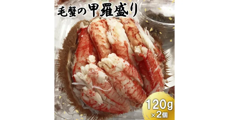 【ふるさと納税】毛蟹の甲羅盛り 120g×2個 毛蟹 毛ガニ 毛がに 甲羅盛り 甲羅もり 甲羅盛 蟹 かに カニ ほぐし身 120g 魚介 魚貝 海鮮 海産 冷凍 楽天ふるさと納税 ふるさと納税 北海道 恵庭市 恵庭【71012】