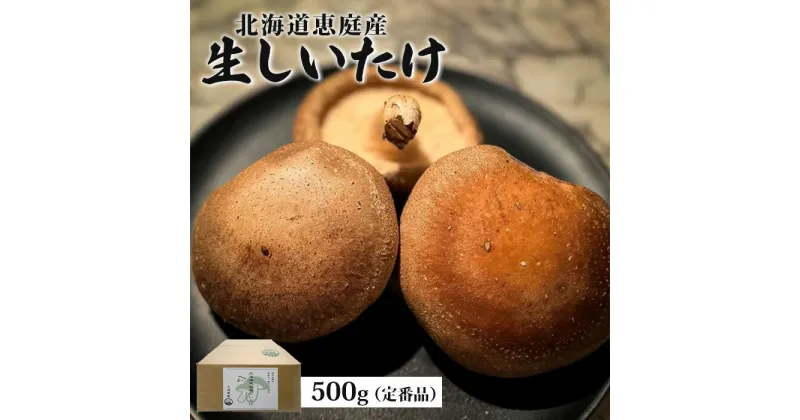 【ふるさと納税】北海道恵庭産 生しいたけ 500g 20個前後 先行予約 数量限定 定番品 オンライン 申請 ふるさと納税 北海道 恵庭 生椎茸 しいたけ 椎茸 菌床 きのこ 栄養満点 肉厚 濃厚 採れたて 野菜 鮮度抜群 恵庭市【800005】