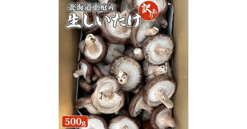 【ふるさと納税】北海道恵庭産 生しいたけ 500g 20個前後 先行予約 数量限定 訳あり品 訳あり オンライン 申請 ふるさと納税 北海道 恵庭 生椎茸 しいたけ 椎茸 菌床 きのこ 栄養満点 肉厚 濃厚 採れたて 野菜 鮮度抜群 恵庭【800007】