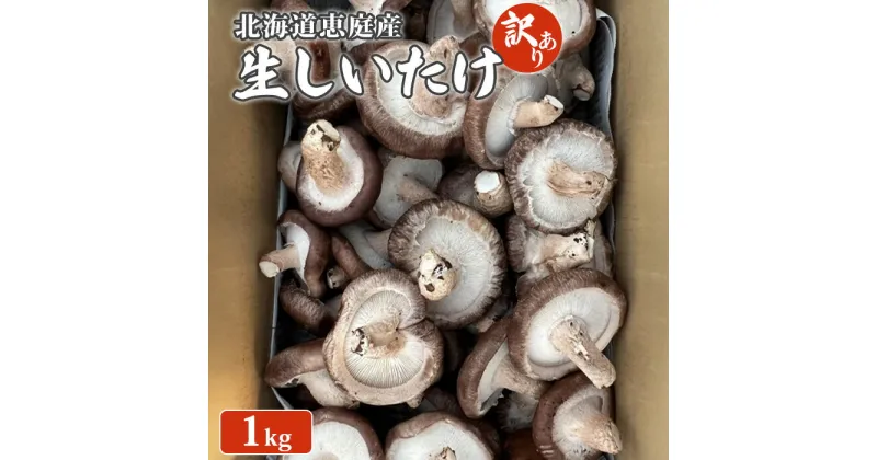 【ふるさと納税】北海道恵庭産 生しいたけ 1kg 35個前後 先行予約 数量限定 訳あり品 訳あり オンライン 申請 ふるさと納税 北海道 恵庭 生椎茸 しいたけ 椎茸 菌床 きのこ 栄養満点 肉厚 濃厚 採れたて 野菜 鮮度抜群 恵庭市【800008】